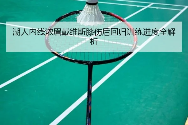 湖人内线浓眉戴维斯膝伤后回归训练进度全解析